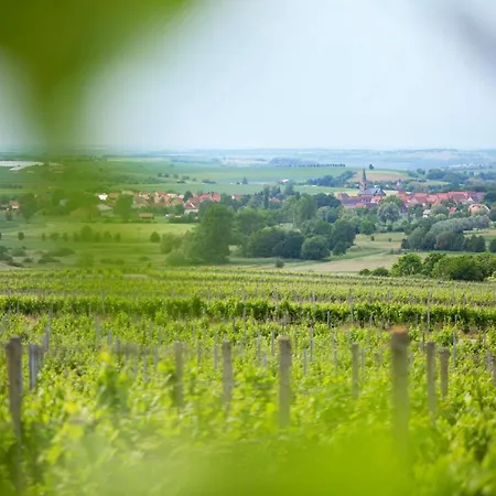 Inn Weingut Schilling