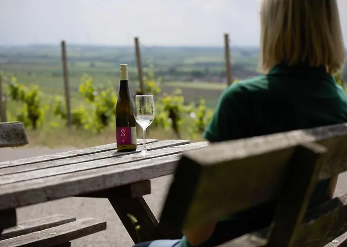 Weingut Schilling 宾馆